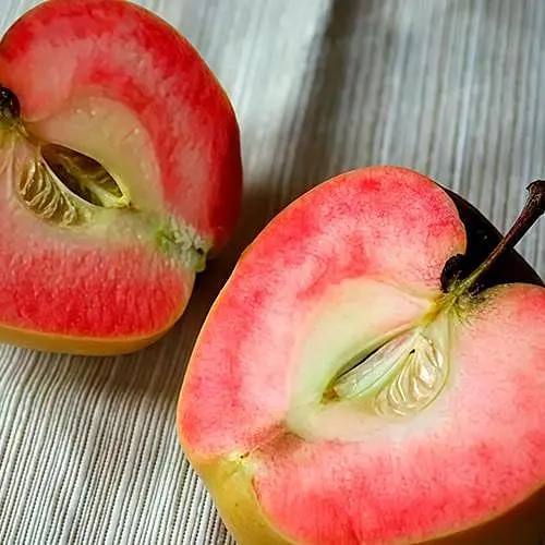 Яблуня Пінк Agro-Market Перл укорінена в контейнері саджанець 2 роки 186590 1 саджанець в упаковці - фото 1