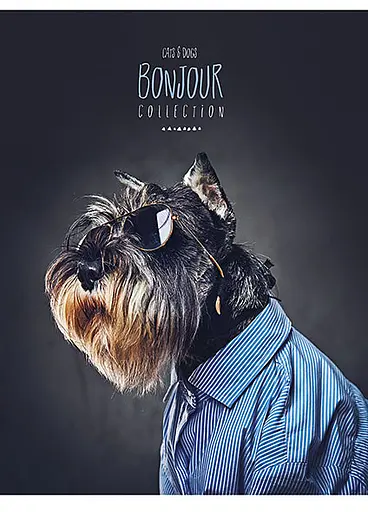 Комплект 4 шт загальних зошитів. Зошит Школярик А5 80 арк. у лінію 5069 4823088207798 - фото 2