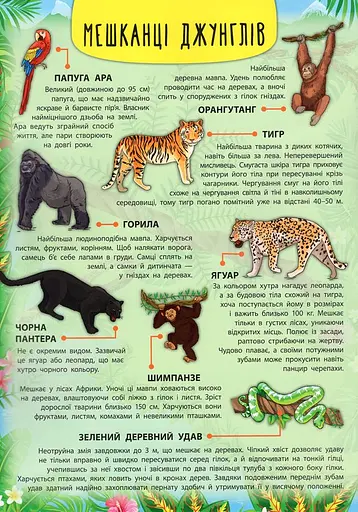 Енциклопедія з наліпками. Тварини світу - фото 4