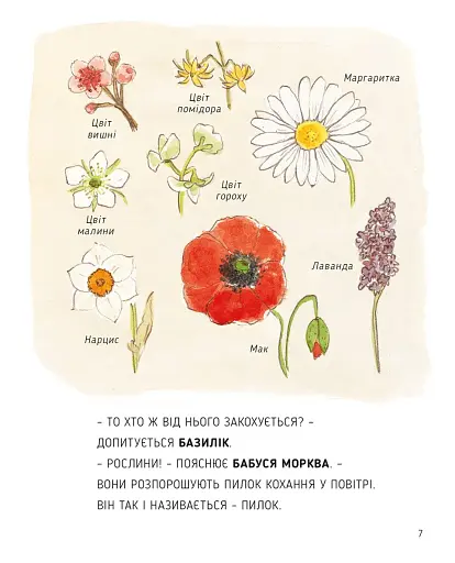 Сад Базиліка. Чи закохуються квіти? - фото 7