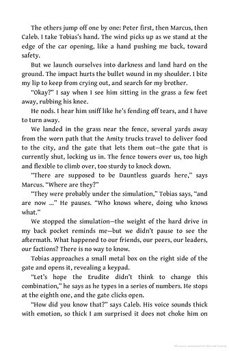 Insurgent. Book 2 - фото 7