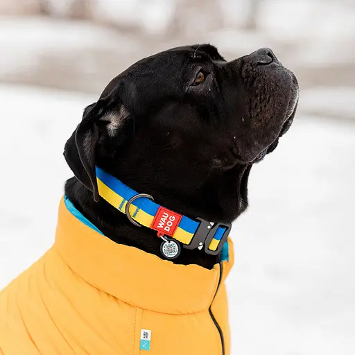 Нашийник для собак нейлоновий Waudog Nylon з QR-паспортом "Colors of freedom" пластиковий фастекс L Ш 25 мм Д 33-49 - фото 2