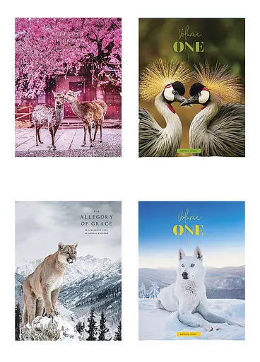 Комплект 4 шт загальних зошитів. Зошит Школярик А5 48 арк. у лінію 5072 4823088219197 - фото 1