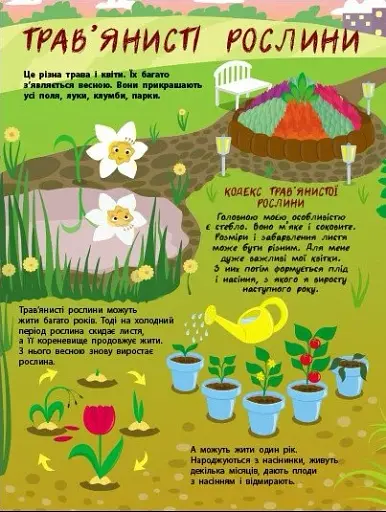 Таємне життя рослин - фото 6