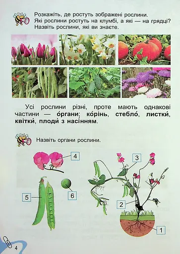 Я досліджую світ 1 клас. Підручник з інтегрованого курсу. Частина 2 - фото 3