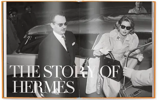 The Ultimate Guide to Hermès Bags - фото 2