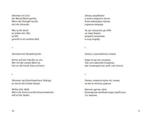 Мовні ґрати - фото 7