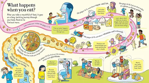 Look Inside What Happens When You Eat - Емілі Боун - фото 4