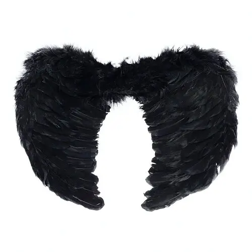 Крила янгола - фото 1