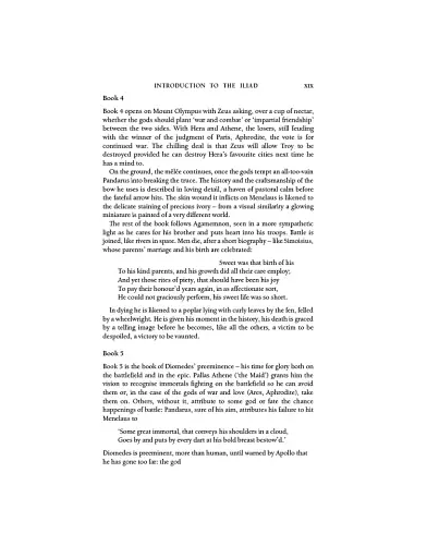 The Iliad and the Odyssey - фото 11