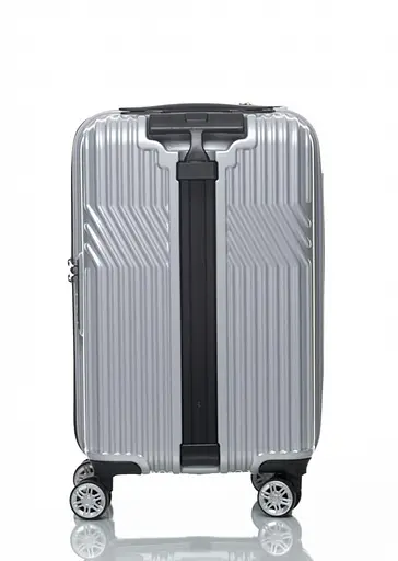 Валіза Sumdex 20 серебриста (SWRH-720 MS) - фото 4