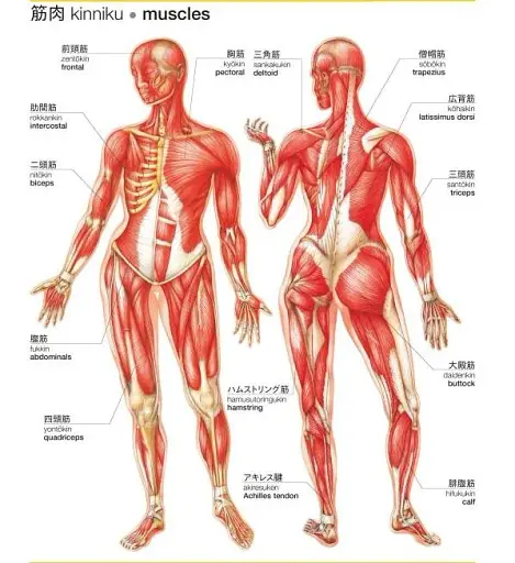 Japanese-English Bilingual Visual Dictionary - фото 7