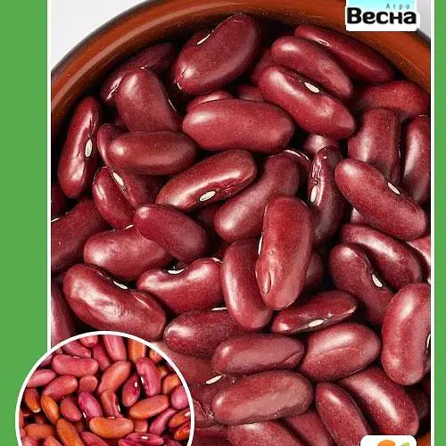 Квасоля "Рубін" (Великий пакет) ТМ "Весна" 5г (24095) - фото 1