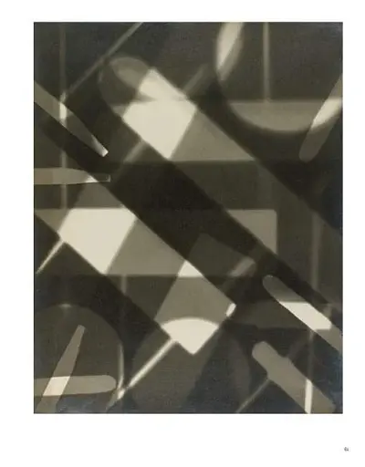 Cameraless Photography. V&A Photography Library Series - фото 6