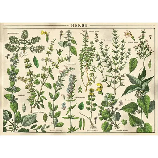 Пазлы трехслойные Interdruk Vintage Nature 1, 1000 шт. (385062) - фото 3