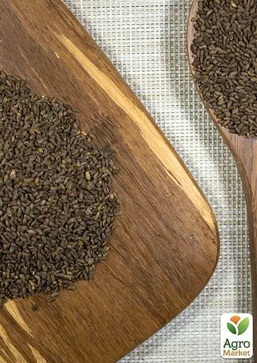 Сальвия блестящая Весна 0.5г (13299) - фото 3