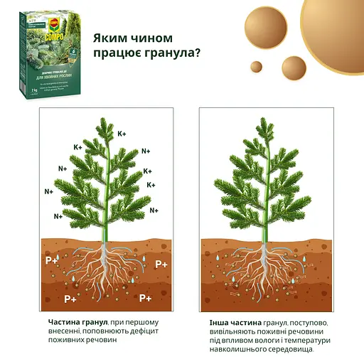 Тверде добриво тривалої дії для хвойних COMPO 2 кг - фото 9