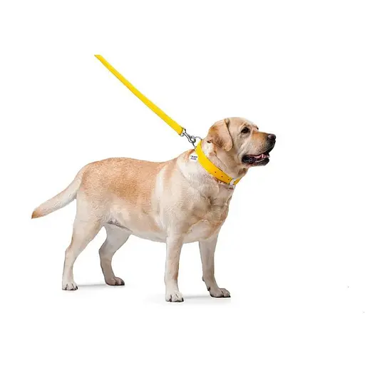 Повідець для собак Waudog Glamour шкіряний, жовтий - фото 3