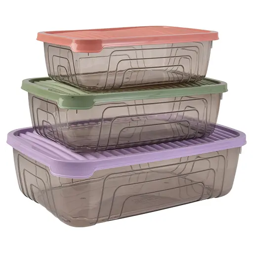 Контейнер пластиковый Herevin Rectangular Storage Bowl Set-2024 Colours 3 шт. (163332-150)