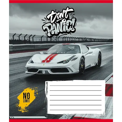 Тетрадь ученическая "Без паники" Leader 012-510164C-4 в косую линию, 12 листов - фото 1