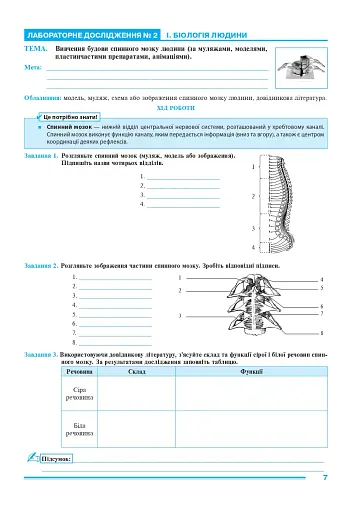 Біологія. 8 клас. Практикум (за програмою Балан П. Г., Кулініч О. М., Юрченко Л. П.) - фото 6