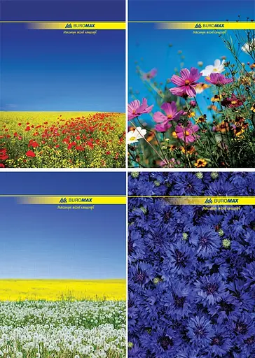 Книга обліку, А4, 96 арк., клітинка, офсет, тверда ламінована обкладинка - фото 2