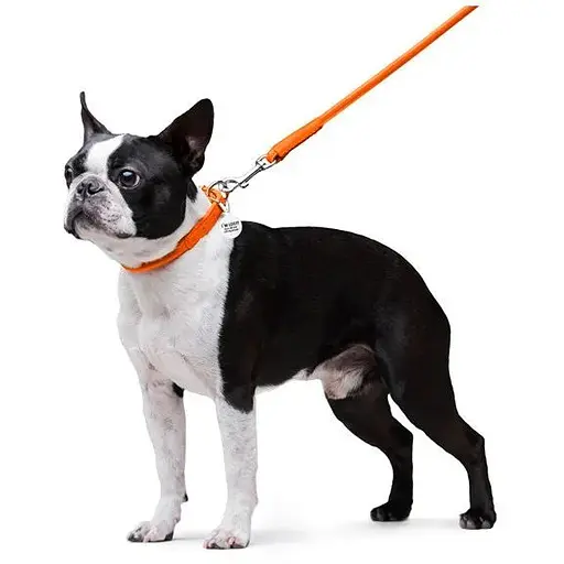 Повідець для собак Waudog Glamour шкіряний круглий, помаранчевий - фото 5