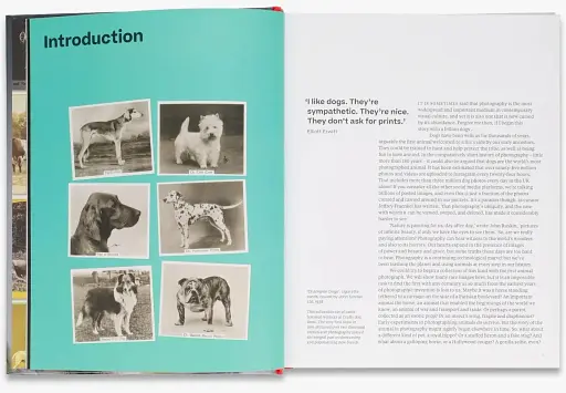 Why We Photograph Animals - фото 5