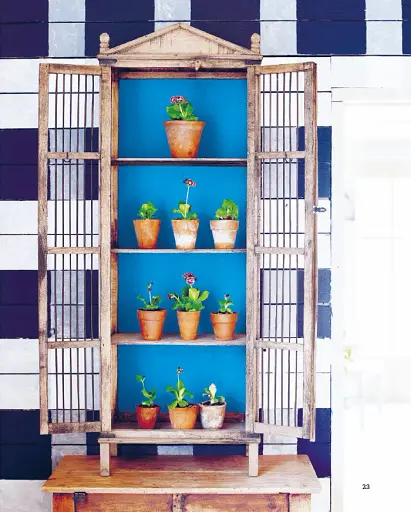 Шелфі - фото 12