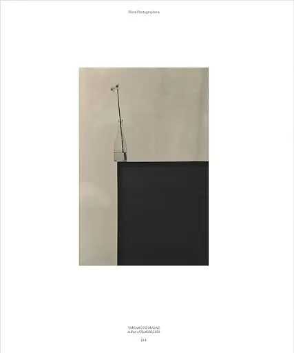 Flora Photographica - фото 13