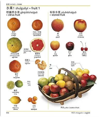 Mandarin Chinese-English Bilingual Visual Dictionary - фото 7