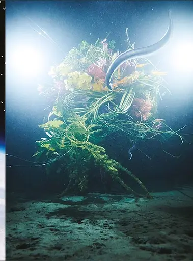 Flower Art. Makoto Azuma - фото 13