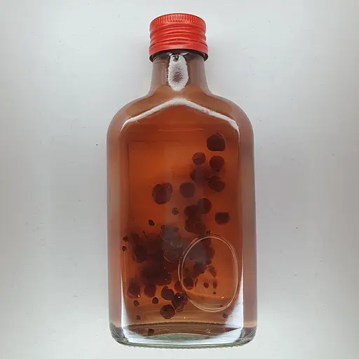 Водна настоянка на плодах лимонника китайського 200 мл - фото 2