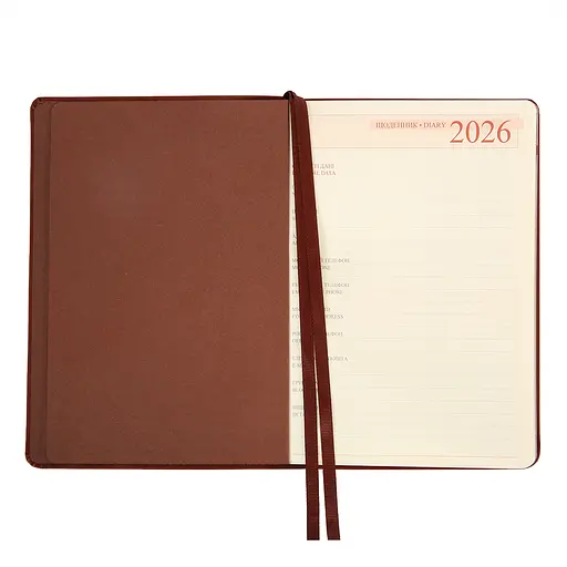 Дневник-деловая записная книжка А5 Leo Planner датированный 2026 Case коричневый 368 страниц (252659) - фото 3