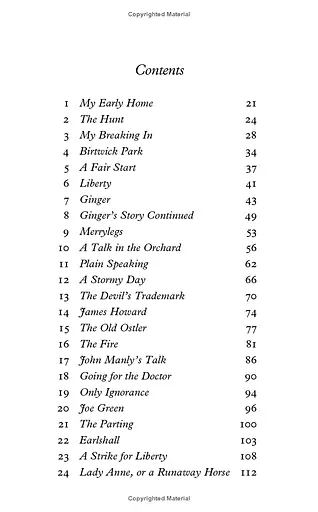 Black Beauty - фото 4