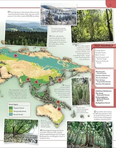 Earth Knowledge Genius - фото 3