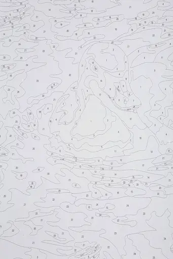 Набір для розпису по номерах "Гуси в озері" 40*50 см, IDEA2-GX47540, ТМ "99IDEAS" - фото 7