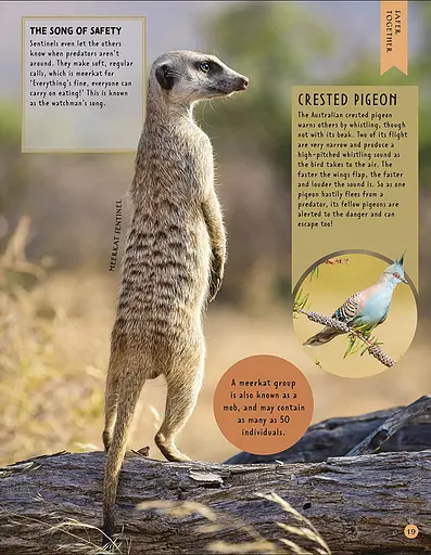 How Not to Get Eaten - фото 4