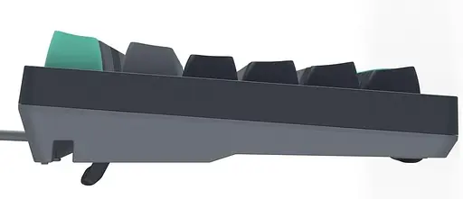 Клавиатура A4Tech Fstyler FS300 USB Panda Rock Climbing (FS300 (Panda Rock Climbing)) - фото 4