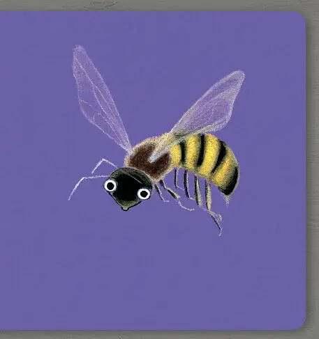 Insects. Collect the rainbow - фото 4