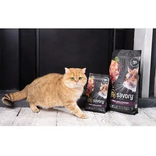 Сухой корм Savory для стерилизованных кошек со свежим ягненком и курицей 400 г - фото 5