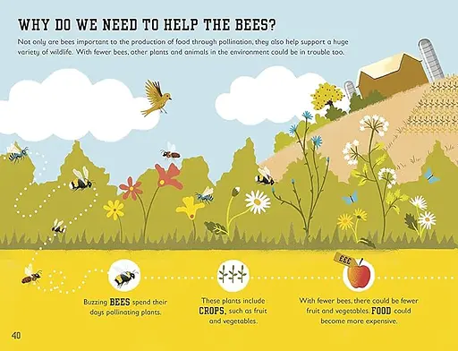 The Bee Book - фото 4