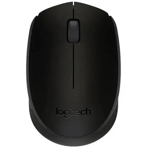 Мышь беспроводная Logitech M171, Black/Grey, USB (2.4 GHz), 1000 dpi, 3 кнопки, 1xAA (910-004424) - фото 1