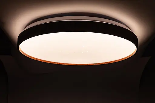 Cвітильник FOREST зоряне небо 60W 395*65мм 3000К-6500К з ДК дуб - фото 5