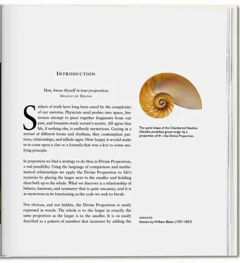 The Secret Code - фото 3