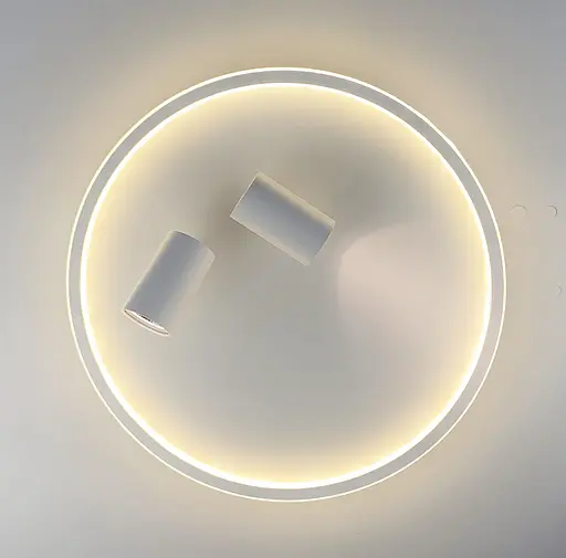 Стельова люстра LED в білому корпусі з направляючими спотами Line.F C 13/500 - фото 7