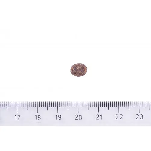 Корм для собак мелких пород Brit Care Dog Hypoallergenic Adult Small Breed гипоаллергенный с ягненком, 7 кг - фото 4