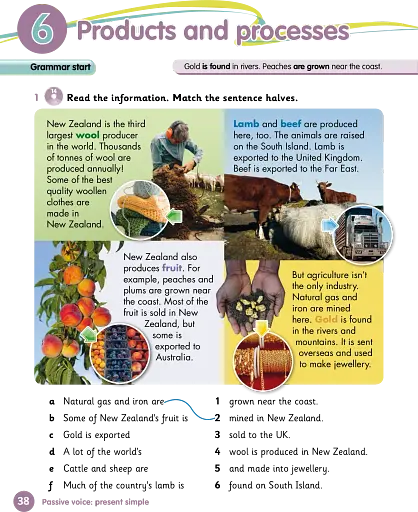 Grammar Goals. Level 5. Pupil's Book Pack - фото 3