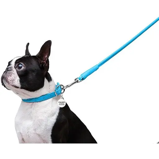 Повідець для собак Waudog Glamour шкіряний круглий, блакитний - фото 6