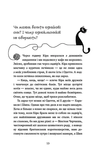 Пригоди кота-детектива. Книга 2. Тихолапий агент - фото 11